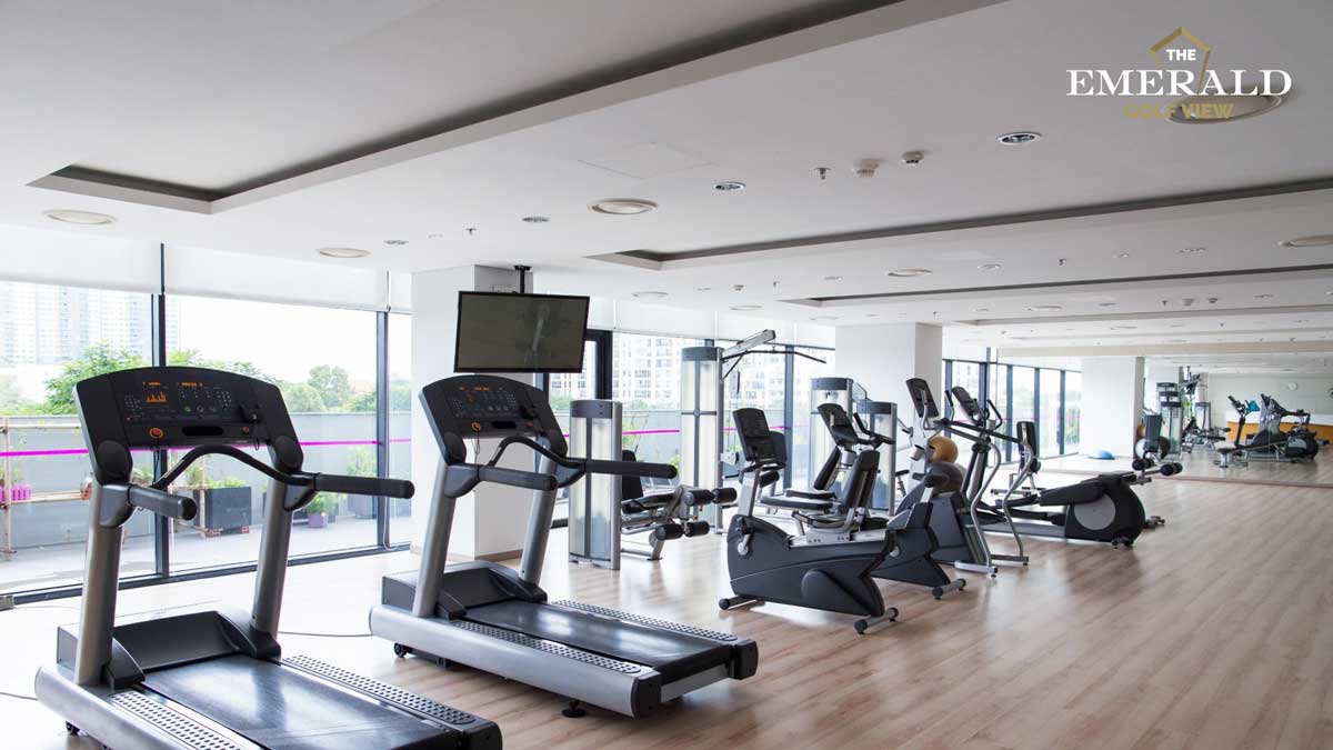 Tiện ích dự án The Emerald Golf View 3