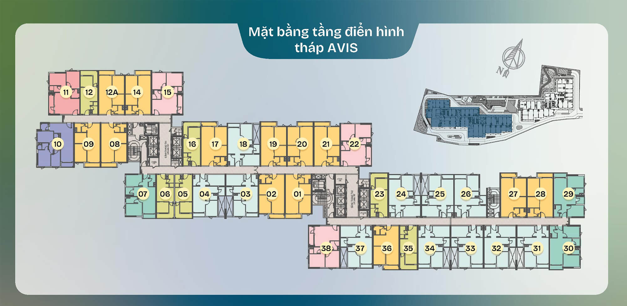Mặt Bằng Tầng Điển Hình TT AVIO