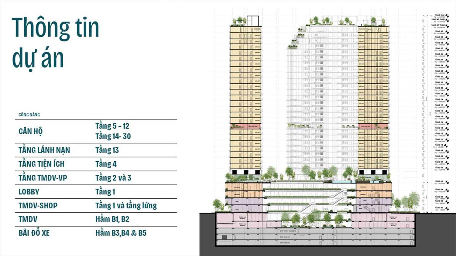 Thiết Kế King Crown Infinit
