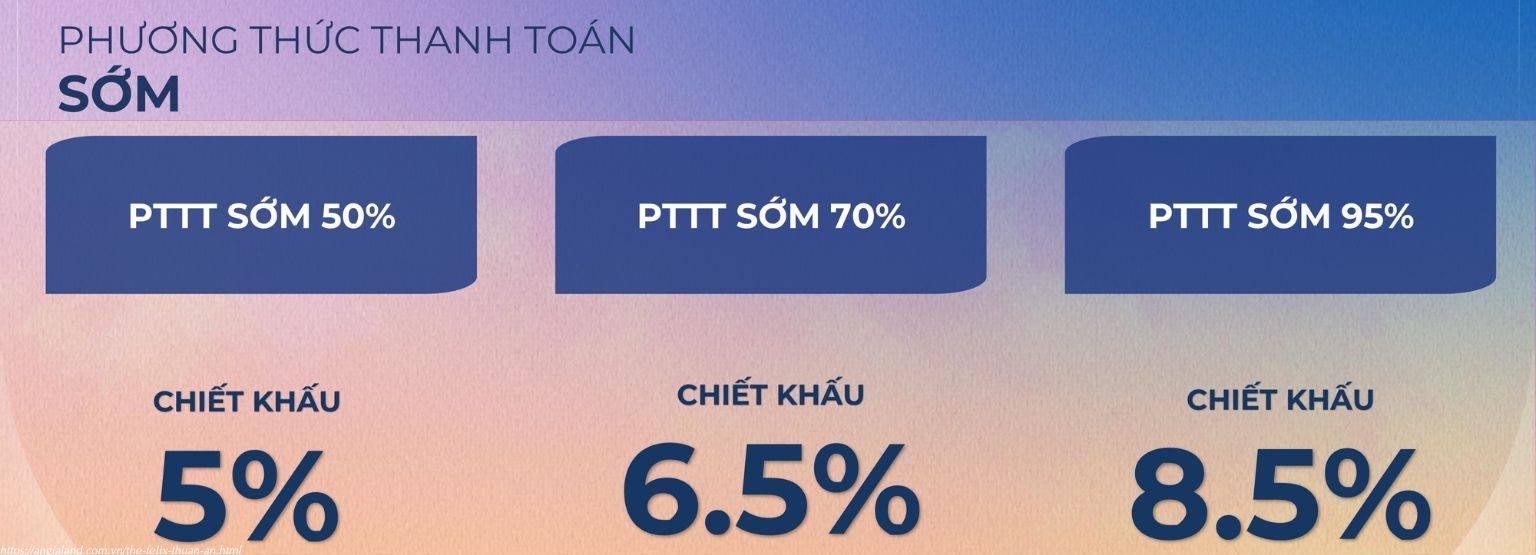 Chính sách thanh toán mua nhà The Felix C Holdings 05/2025 - Phương thức thanh toán sớm