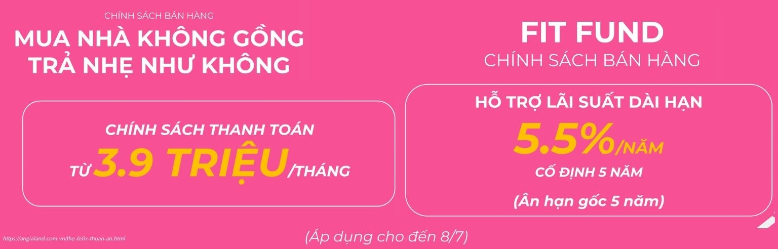 Chính Sách Thanh Toán Mua Nhà The Felix C Holdings 05/2025